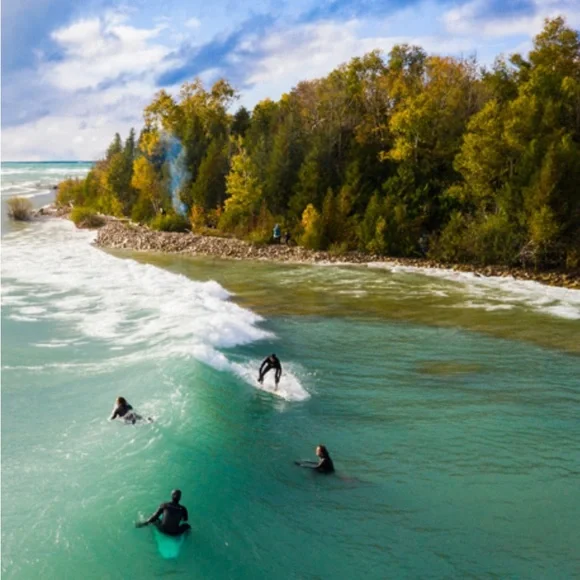 NWT Great Lakes Surf Society Tiki Surfing T-Shirt, S - Picture 4 of 5